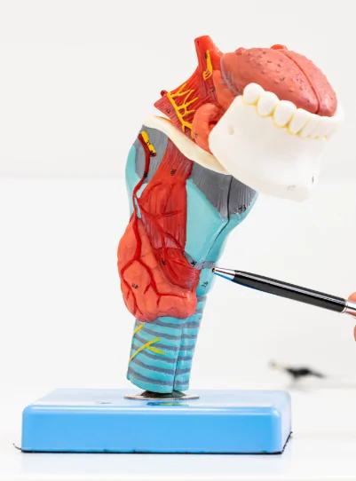 Dr Julia Crawford - Voice Throat Problems & Issues Specialist