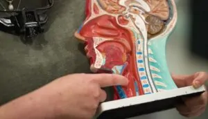 Dr Julia Crawford - Oropharyngeal SCC