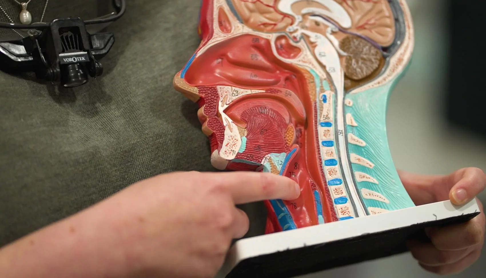 Dr Julia Crawford - Oropharyngeal SCC